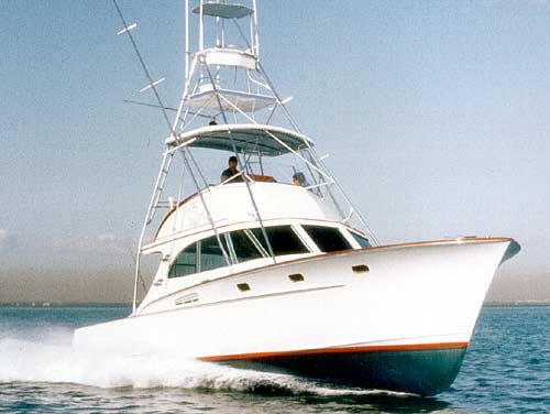 hull #6