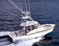 hull 1
