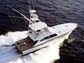 hull 13