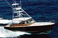 hull 11