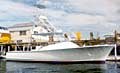 hull #4