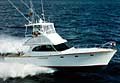 hull 7