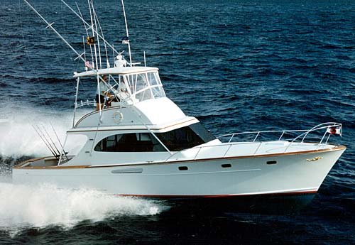 hull #7